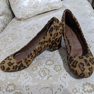 Leopard Shoes